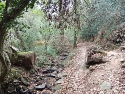 2026-09-06 - Coueron (02)